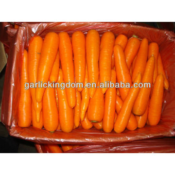 Nuevo cultivo Fresh Carrot